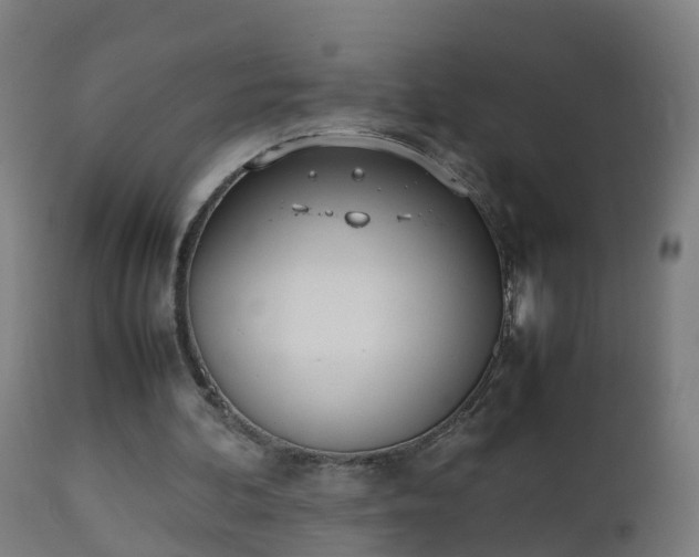 X0000112490292200908241332