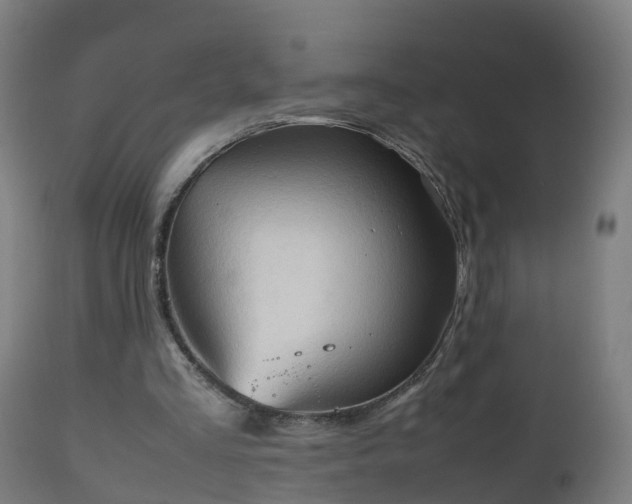 X0000112490293200908241332