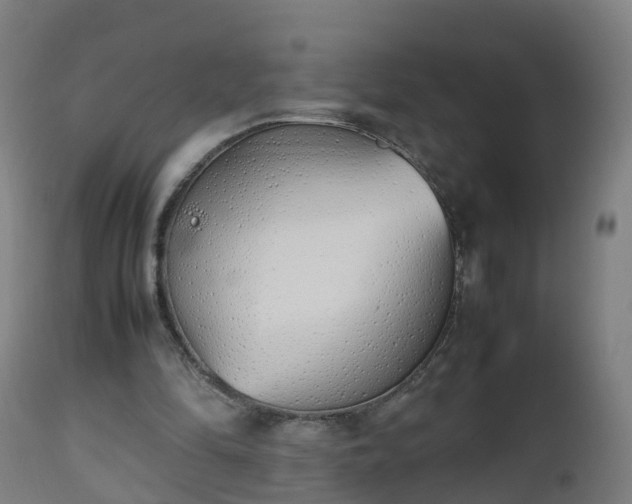 X0000112490294200908241332