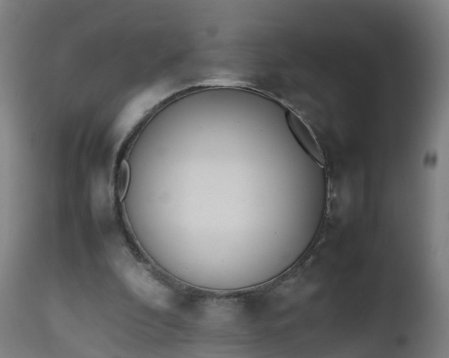 X0000112490296200908241332