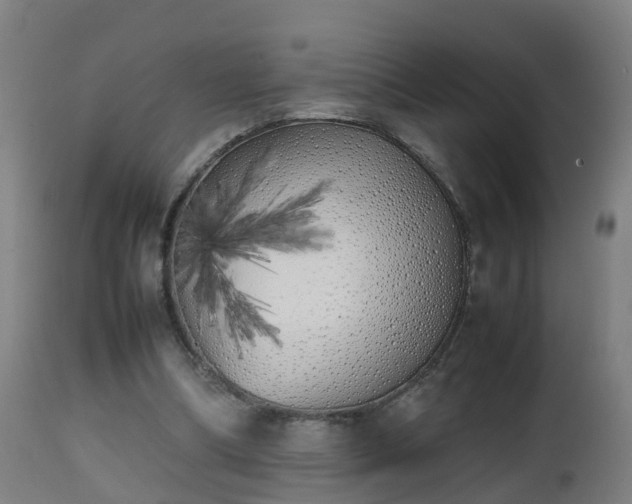X0000112490298200908241332