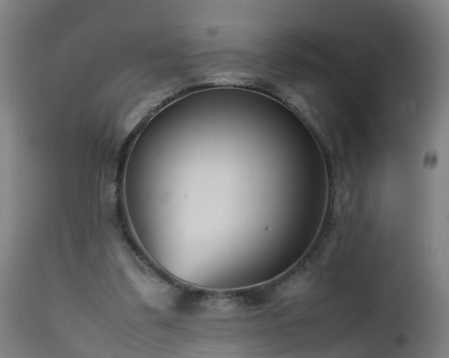 X0000112490299200908241332