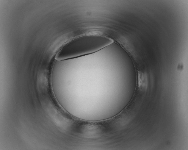 X0000112490300200908241332