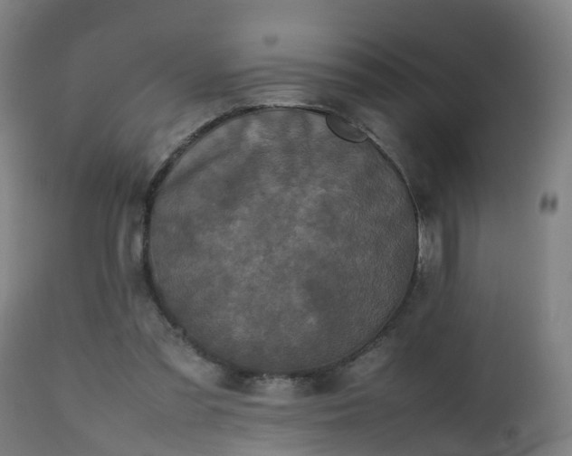 X0000112490301200908241332