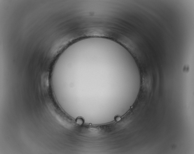 X0000112490302200908241332