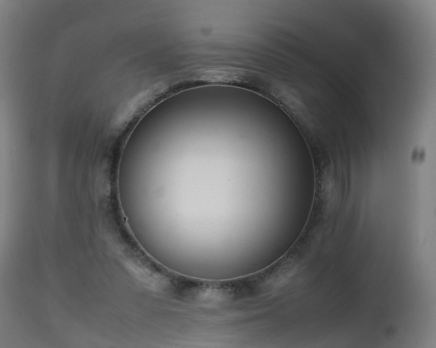 X0000112490303200908241332