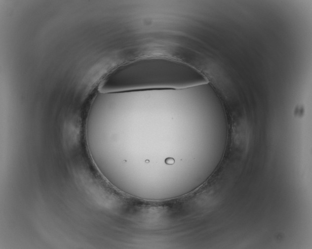 X0000112490304200908241332