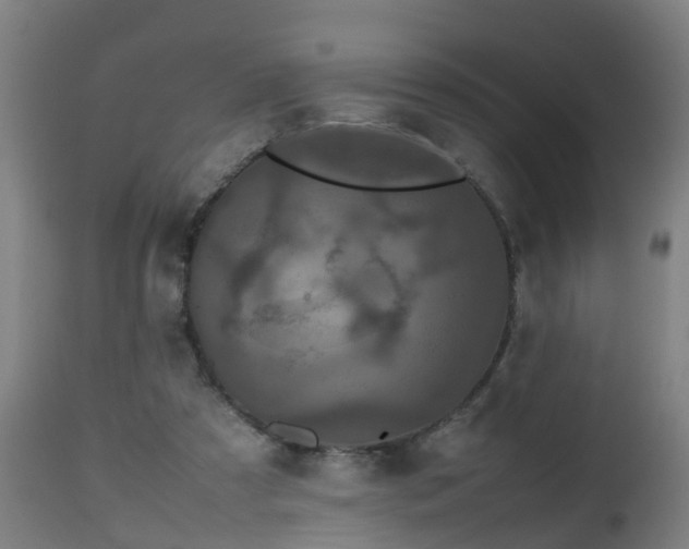 X0000112490305200908241332