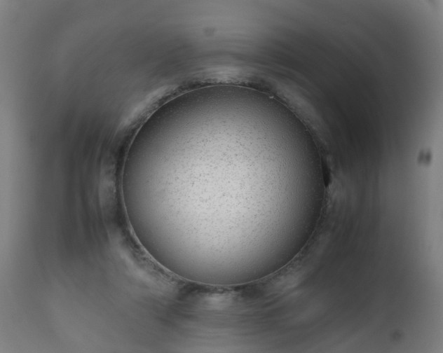 X0000112490306200908241332