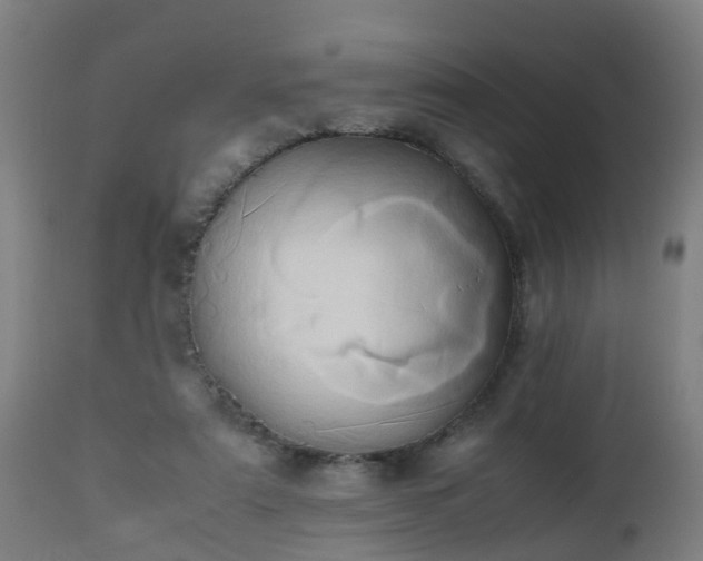 X0000112490307200908241332