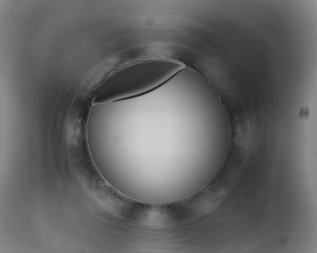 X0000112490308200908241332