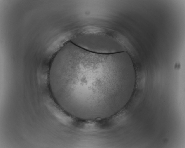 X0000112490309200908241332