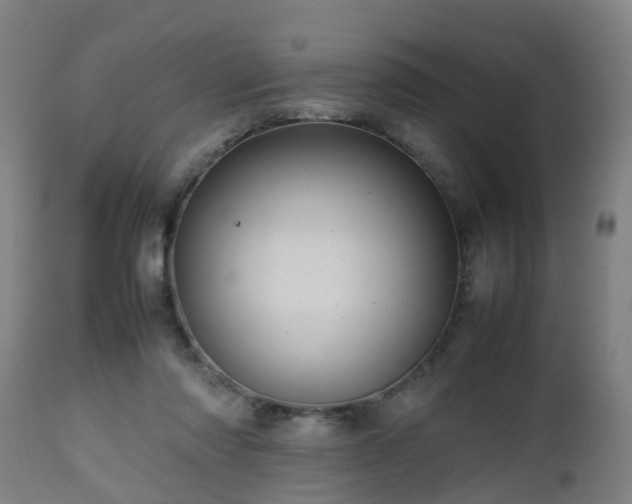 X0000112490310200908241332