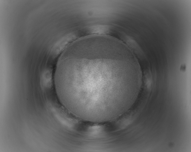 X0000112490312200908241332