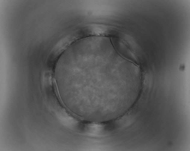 X0000112490313200908241332