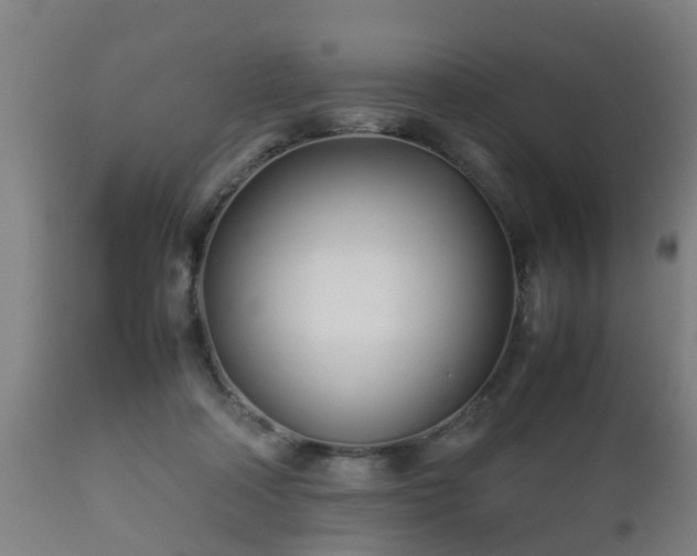 X0000112490314200908241332