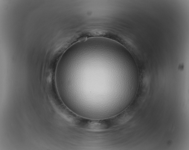 X0000112490315200908241332