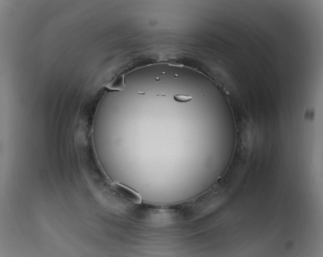 X0000112490316200908241332