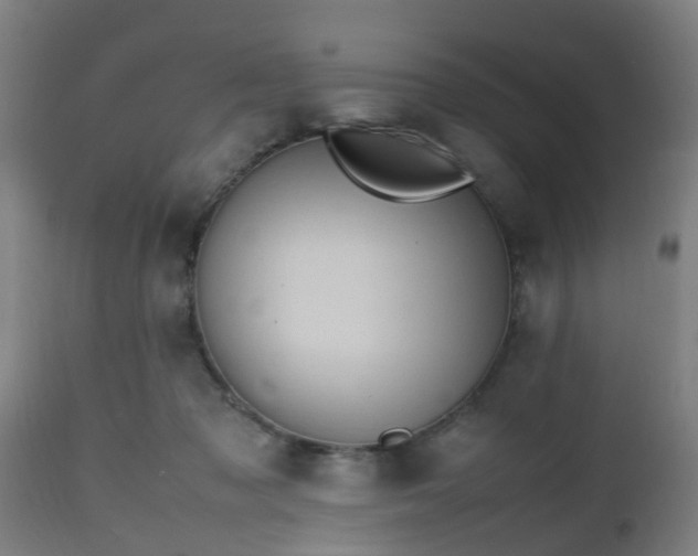 X0000112490317200908241332