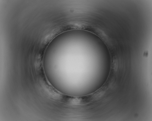 X0000112490318200908241332