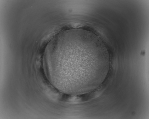 X0000112490319200908241332