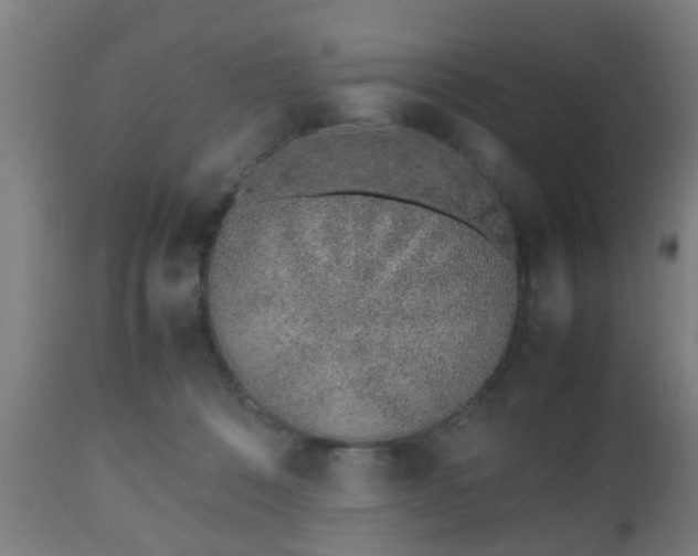 X0000112490320200908241332