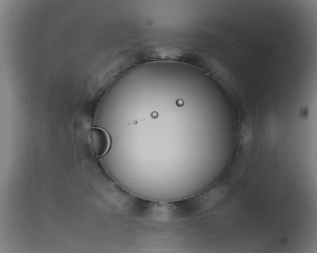 X0000112490321200908241332