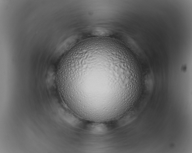 X0000112490322200908241332