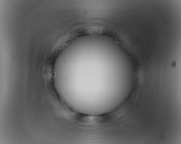 X0000112490323200908241332