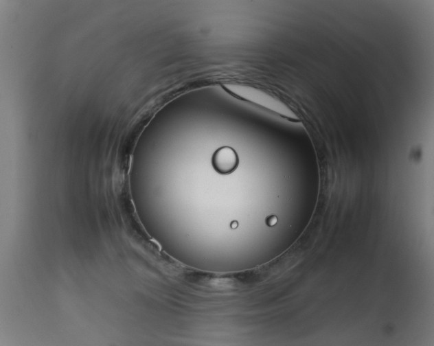 X0000112490324200908241332