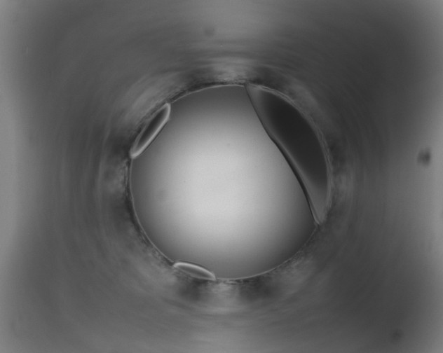 X0000112490325200908241332