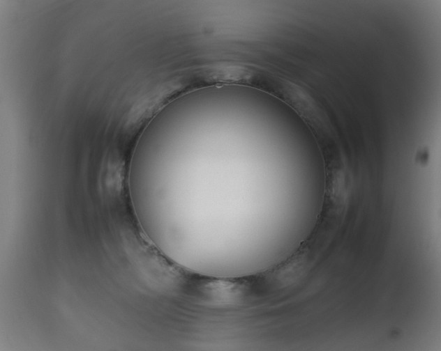 X0000112490326200908241332