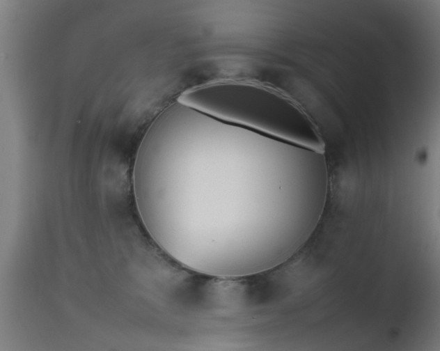 X0000112490327200908241332