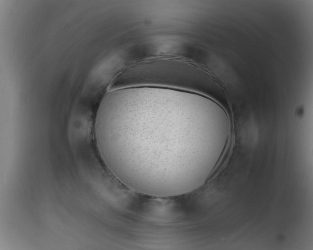 X0000112490328200908241332