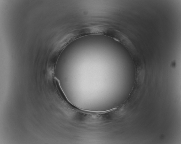 X0000112490329200908241332