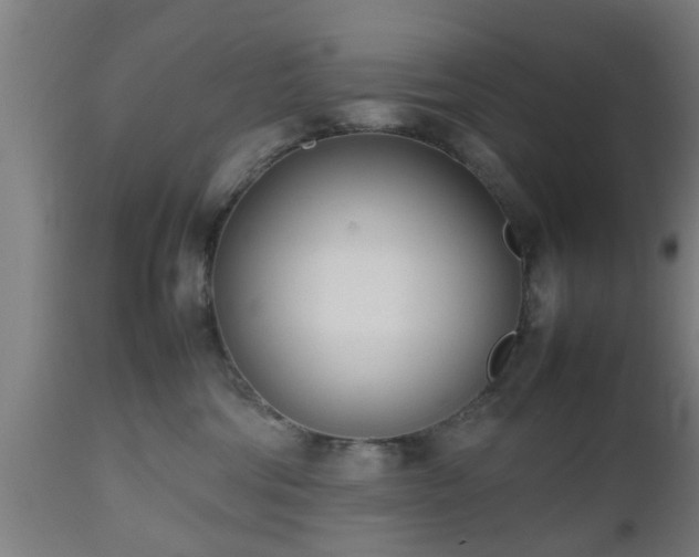 X0000112490330200908241332