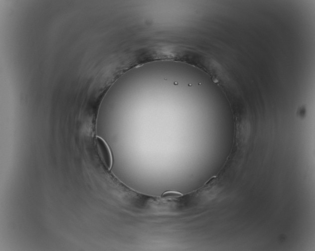 X0000112490331200908241332