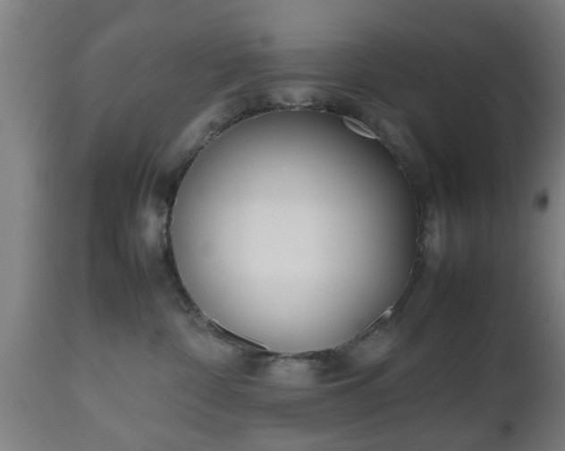 X0000112490332200908241332