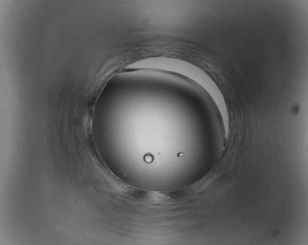 X0000112490333200908241332