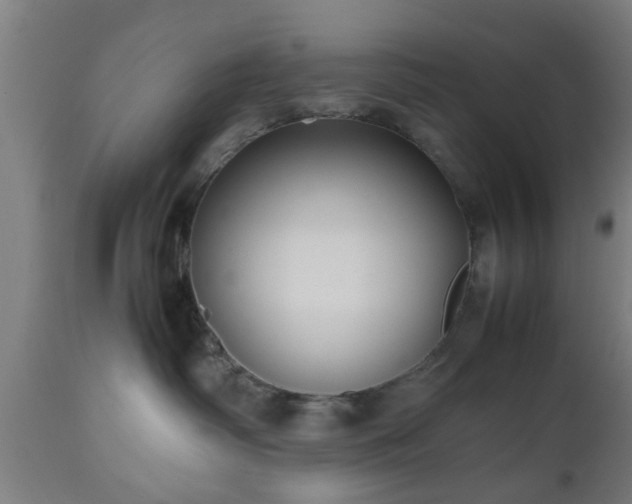 X0000112490334200908241332