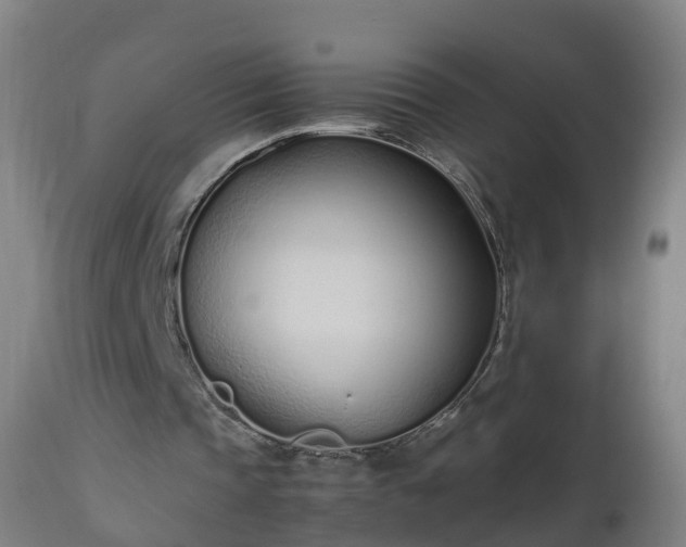 X0000112490337200908241331