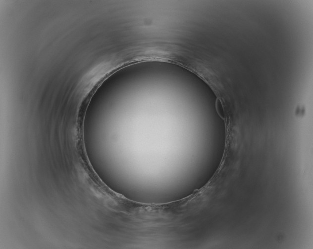 X0000112490338200908241331