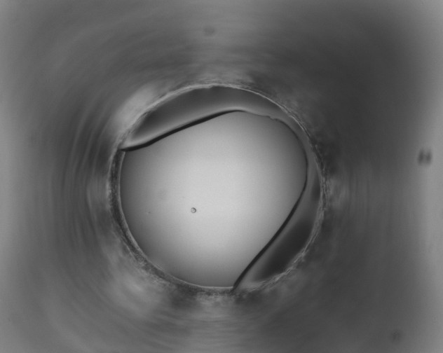 X0000112490340200908241331