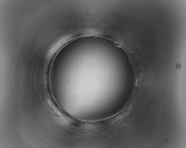 X0000112490341200908241331