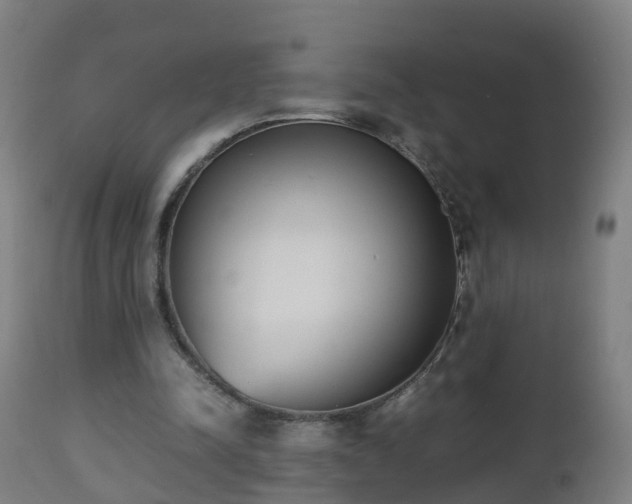 X0000112490342200908241331