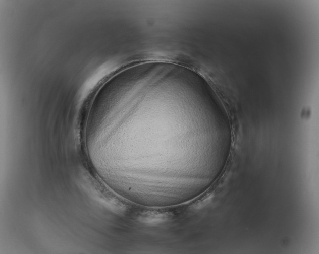 X0000112490343200908241331