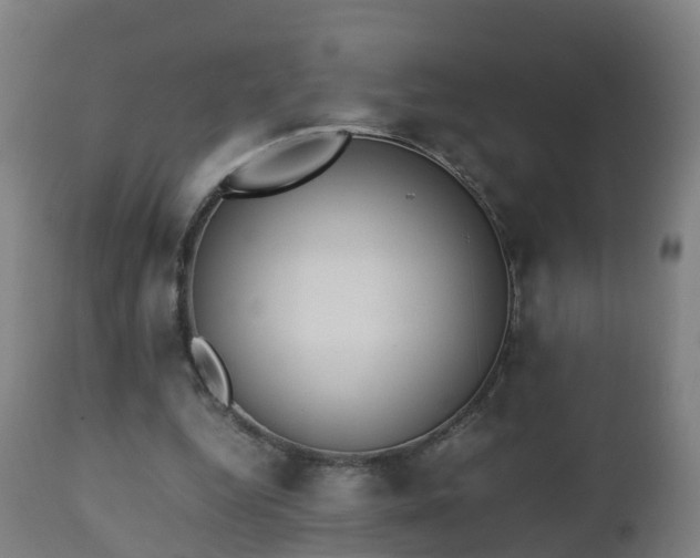 X0000112490344200908241331