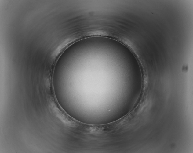 X0000112490345200908241331