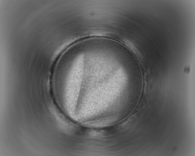 X0000112490346200908241331