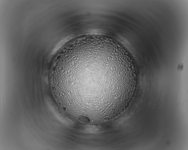 X0000112490347200908241331